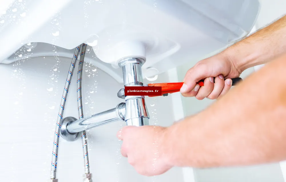 Plombier Mougins 06250